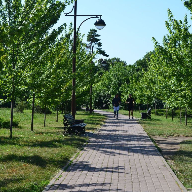 Городской сад краснодара фото