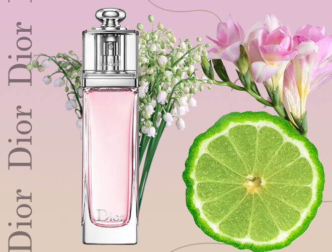 7 лучших женских ароматов Dior: описание парфюма и каждого запаха - Я ...