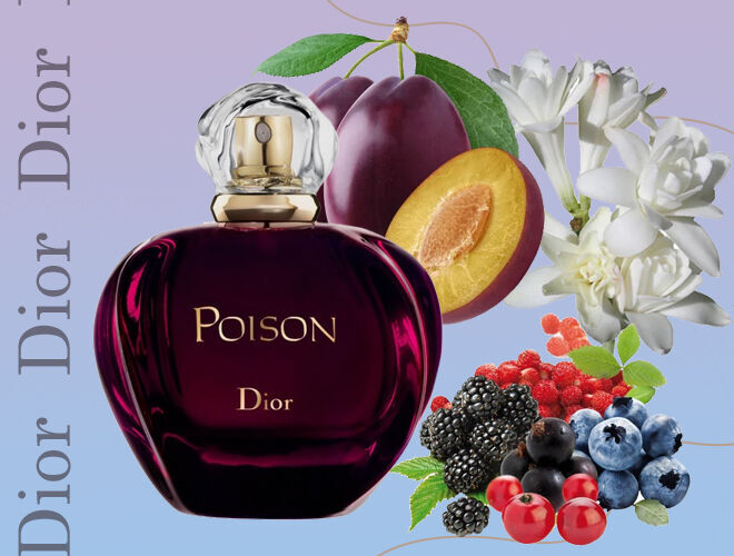 7 лучших женских ароматов Dior: описание парфюма и каждого запаха - Я ...