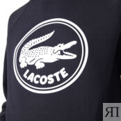 Толстовка Lacoste SF7072 фото 3