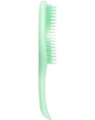 Расческа Tangle Teezer The Wet Detangler Mint Karma 6467061 фото 4