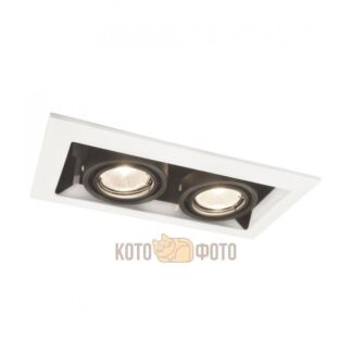 Встраиваемый светильник Arte Lamp TECHNIKA A5941PL-2WH Arte Lamp