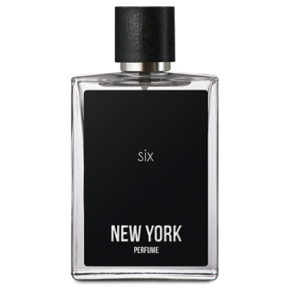 NEW YORK PERFUME Туалетная вода SIX for men 90