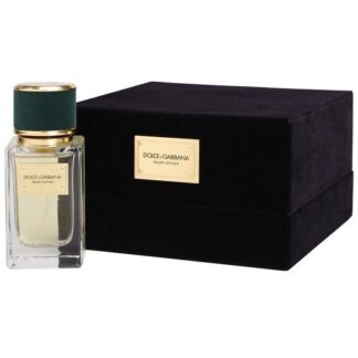 Velvet Vetiver DOLCE & GABBANA