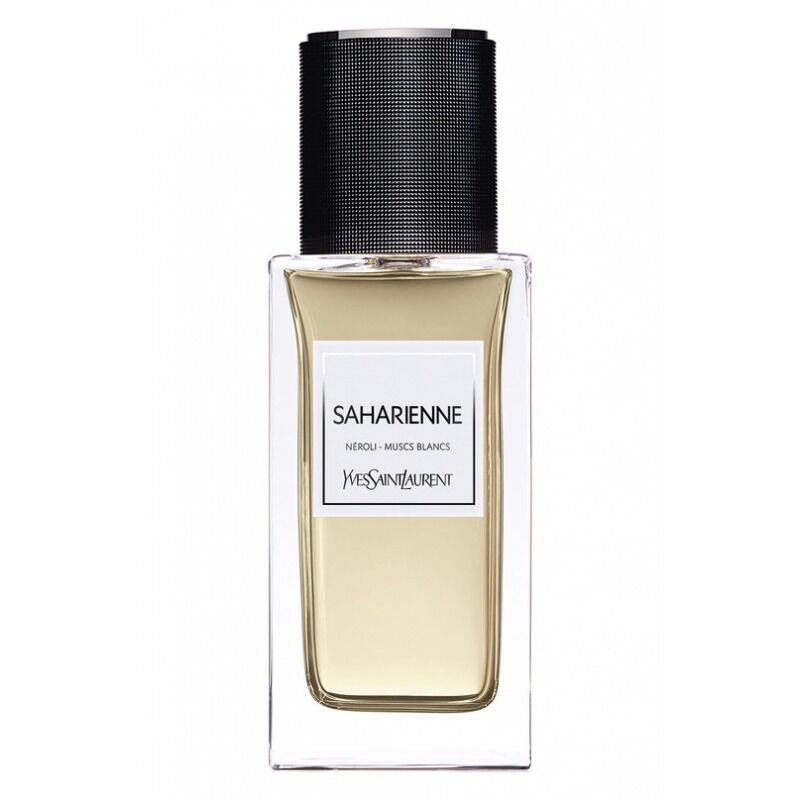 Saharienne 2015 Yves Saint Laurent