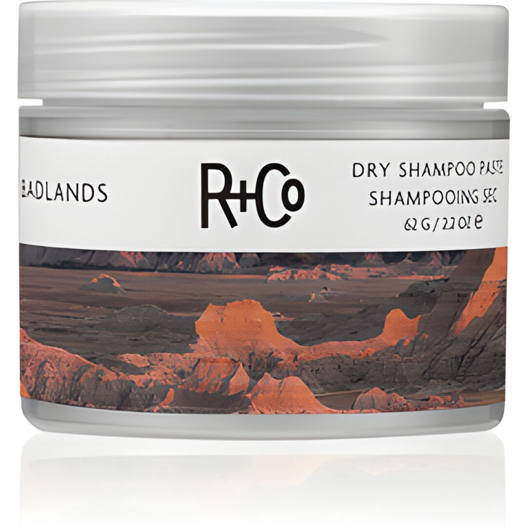 Шампунь R+Co Badlands dry shampoo paste
