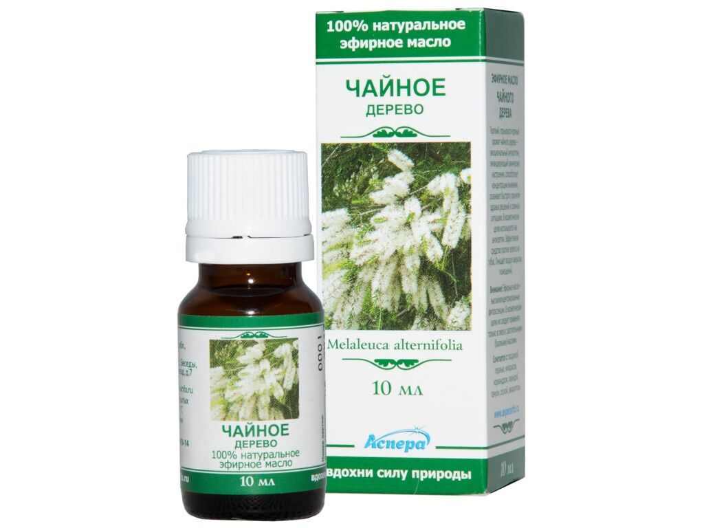 Масло эфирное Аспера Чайное дерево 10ml ПК2301А053 фото 1